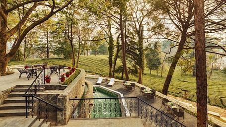 Exterior of INFINITEA Dak Bungalow, Palampur surrounded by greenery