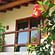 The Studios at Solana Vacation Rental Zihuatanejo Ceiba terrace Solana BandB Zihuatanejo Mexico