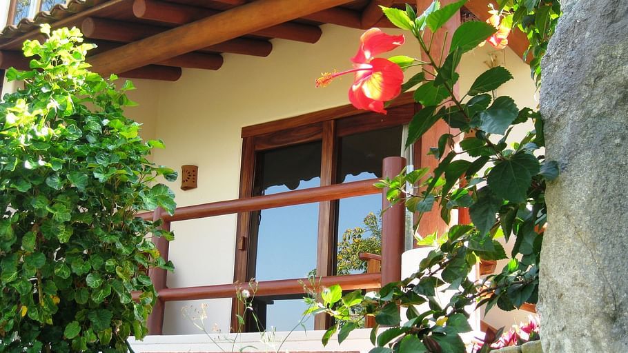 The Studios at Solana Vacation Rental Zihuatanejo Ceiba terrace Solana BandB Zihuatanejo Mexico