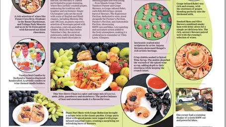 An article about the Stomp in Vedic Village Spa Resort as featured in the backpage WHATUP section of The Telegraph newspaper.