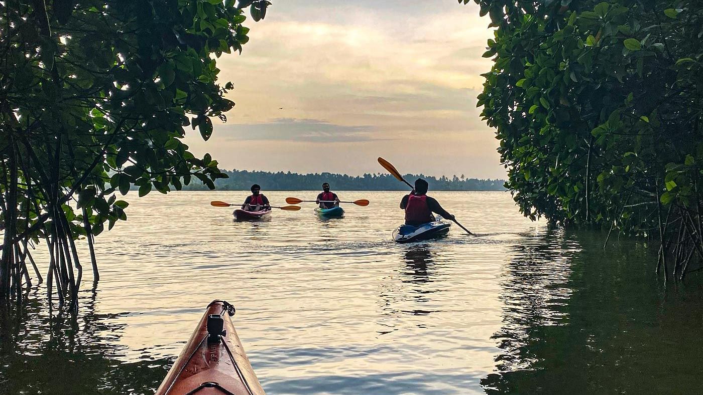  Kayaking perspective from their boat, looking ahead at three other boats with trees framing both sides of the view