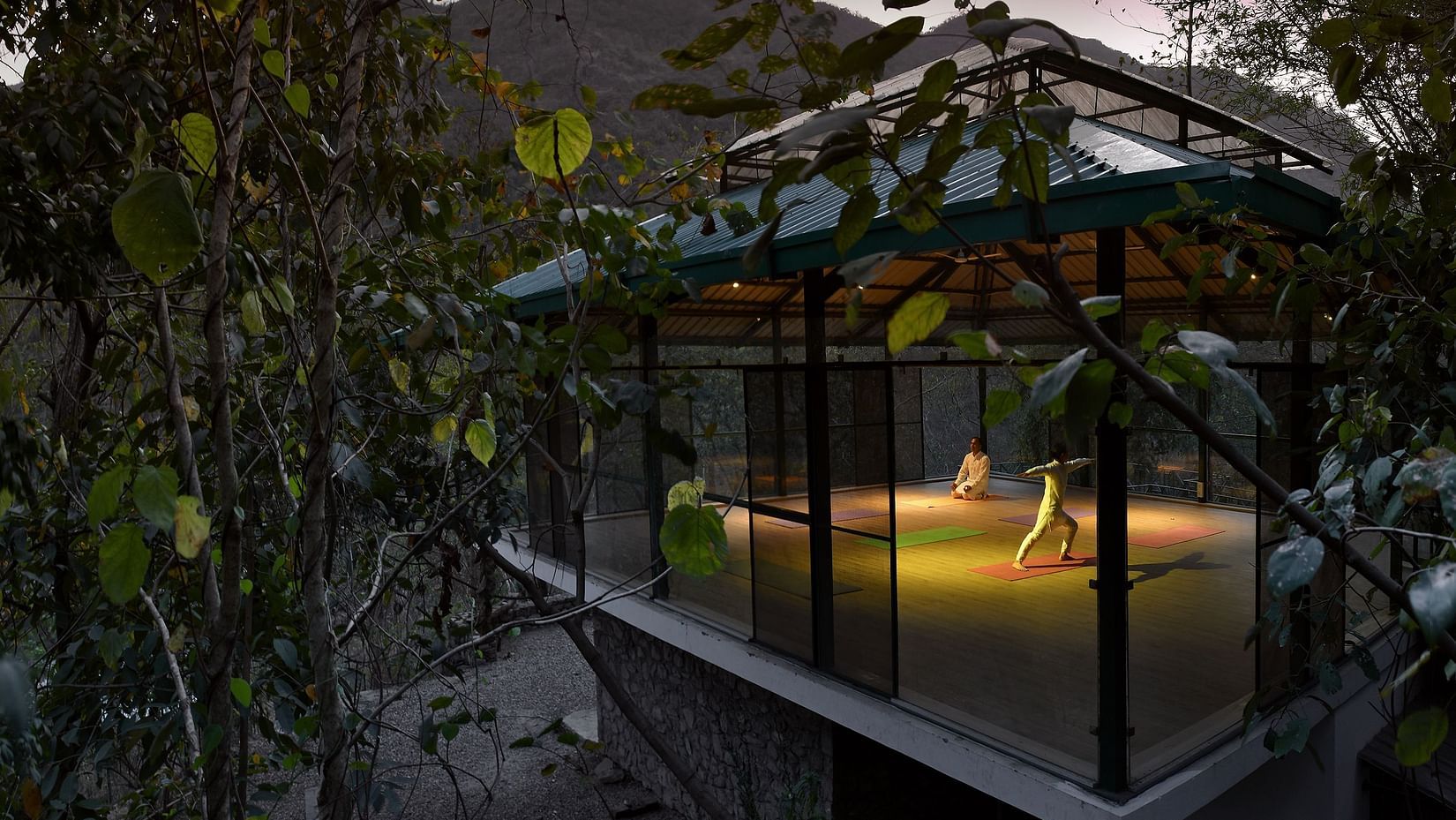 Guests performing yoga at our Yoga house 