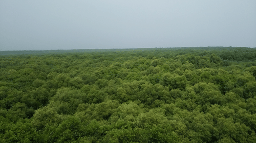 Coringa Wildlife Sanctuary, Hotel Paradigm Sarovar Portico Kakinada
