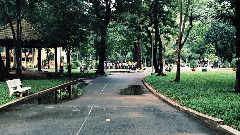 an image of a park with green trees on each side and a pathway to walk in between3