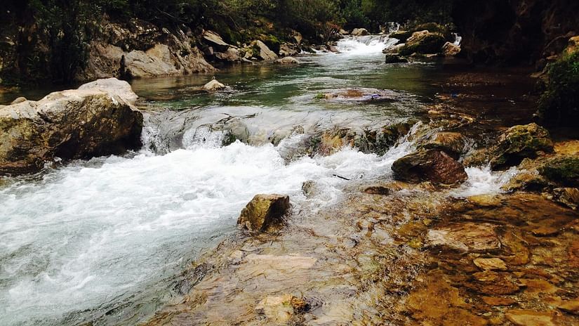 Scenic View of Waterfall in Forest