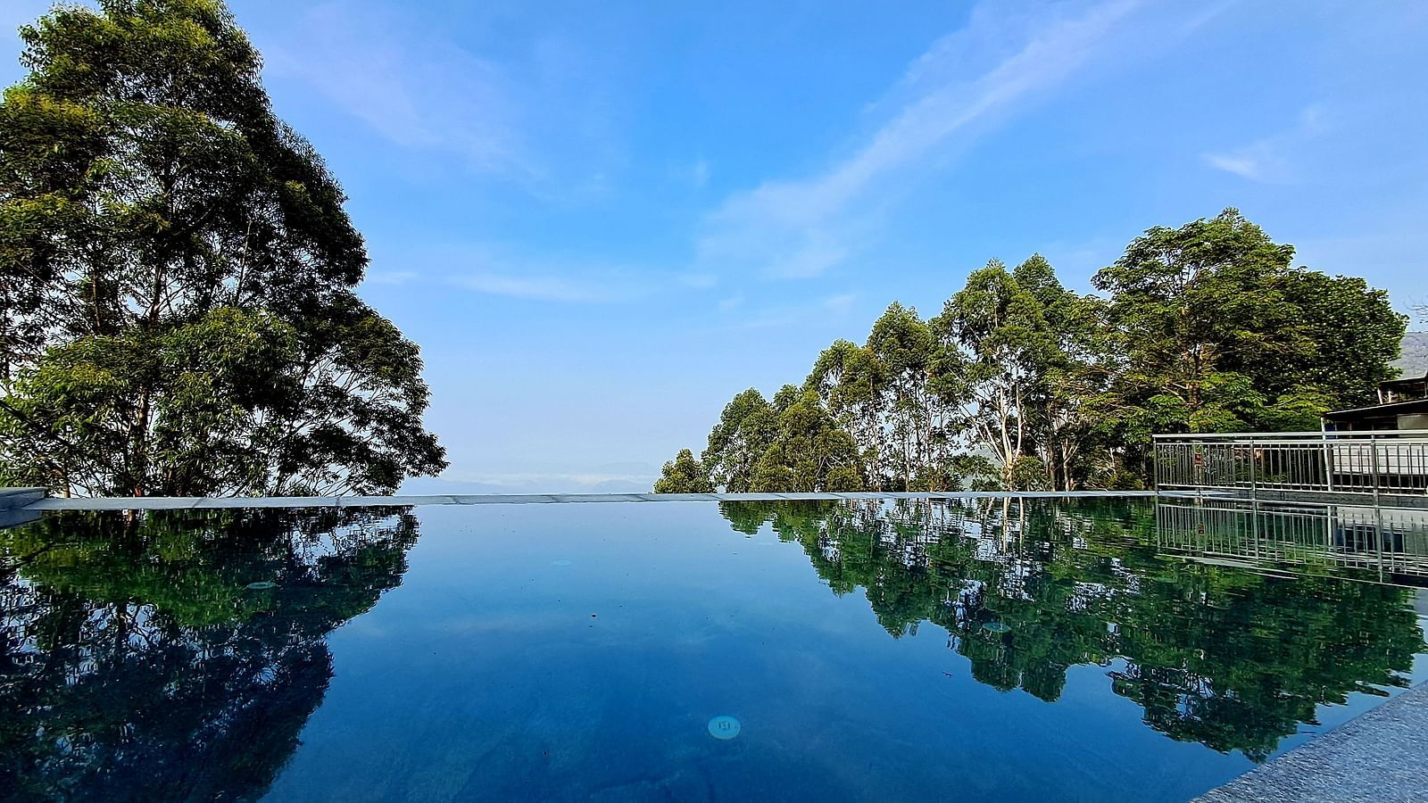 Infinity pool with a view of trees and the sky