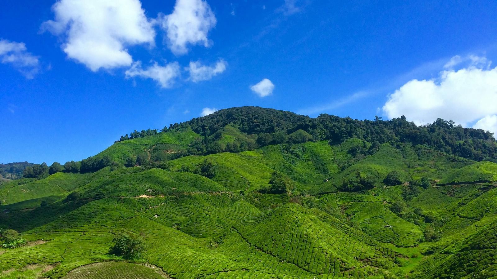 A scenic view of green hills against a clear blue sky with fluffy white clouds.