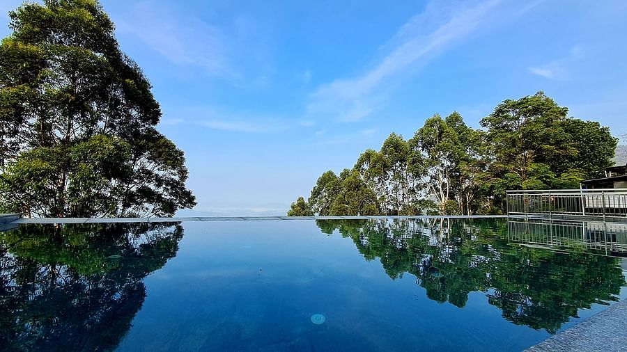 Infinity pool with a view of trees and the sky.