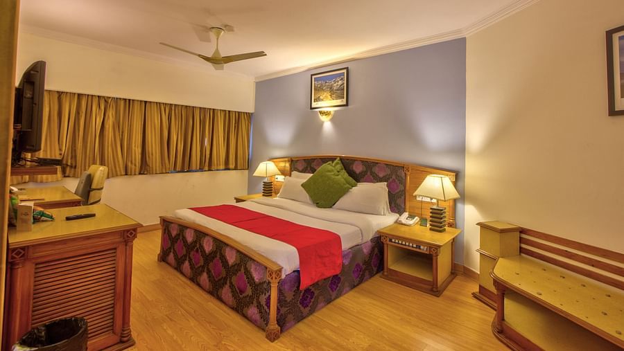 Piccadily Manali Suite - IMG 4957