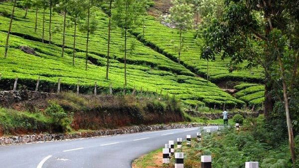 Significant-Tips-For-Planning-A-Road-Trip