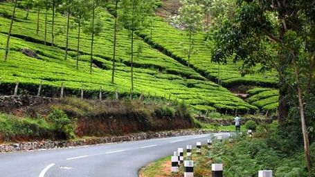 Significant-Tips-For-Planning-A-Road-Trip