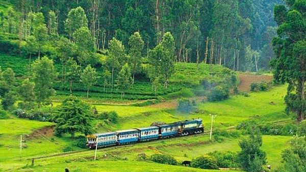 Coorg-Karnataka