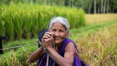 old lady smiling with rice fields in the background