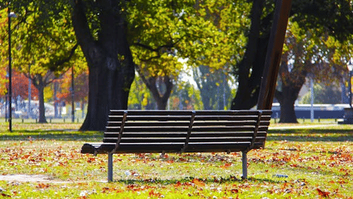 bench in a park