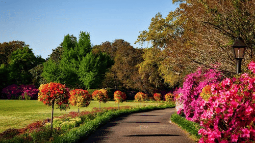 A paved path curves through a garden with rounded bushes and dense trees under a bright sky. A lamp post is on the right.