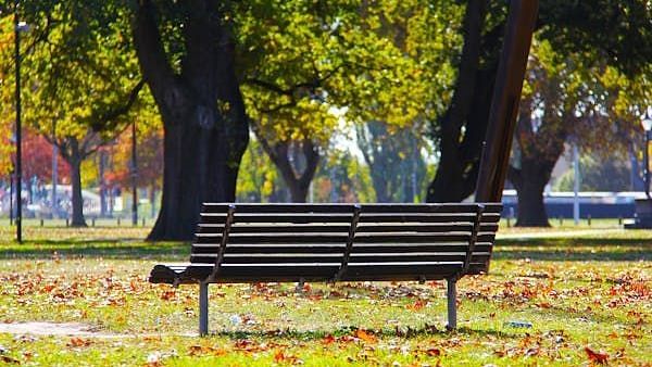 bench in a park