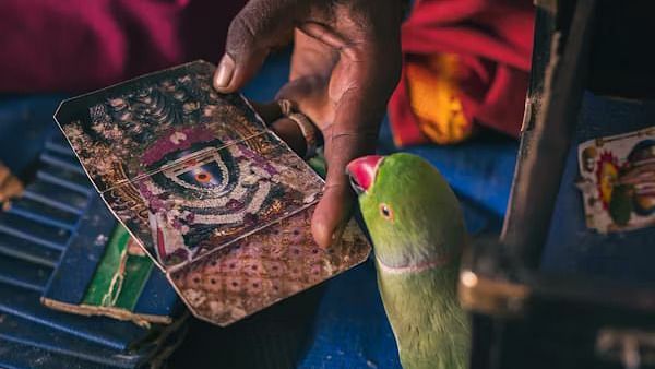 A close-up captures the interaction between a green parrot with a red beak and a person's hands holding decorated fortune-telling cards.