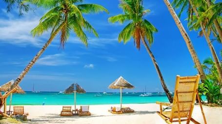 A sandy beach with lounge chairs, umbrellas, and palm trees.