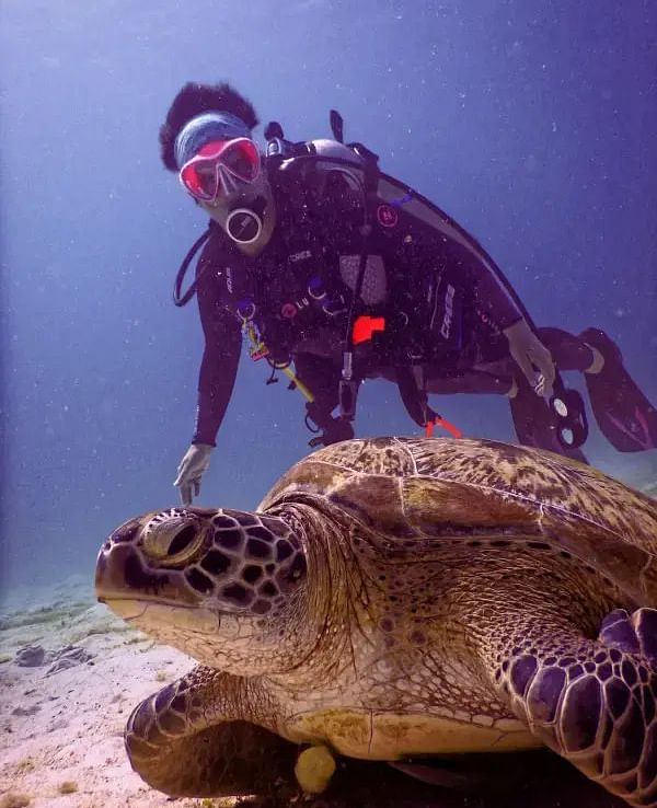 A scuba diver swims alongside a sea turtle on the ocean floor, in a calm underwater scene.