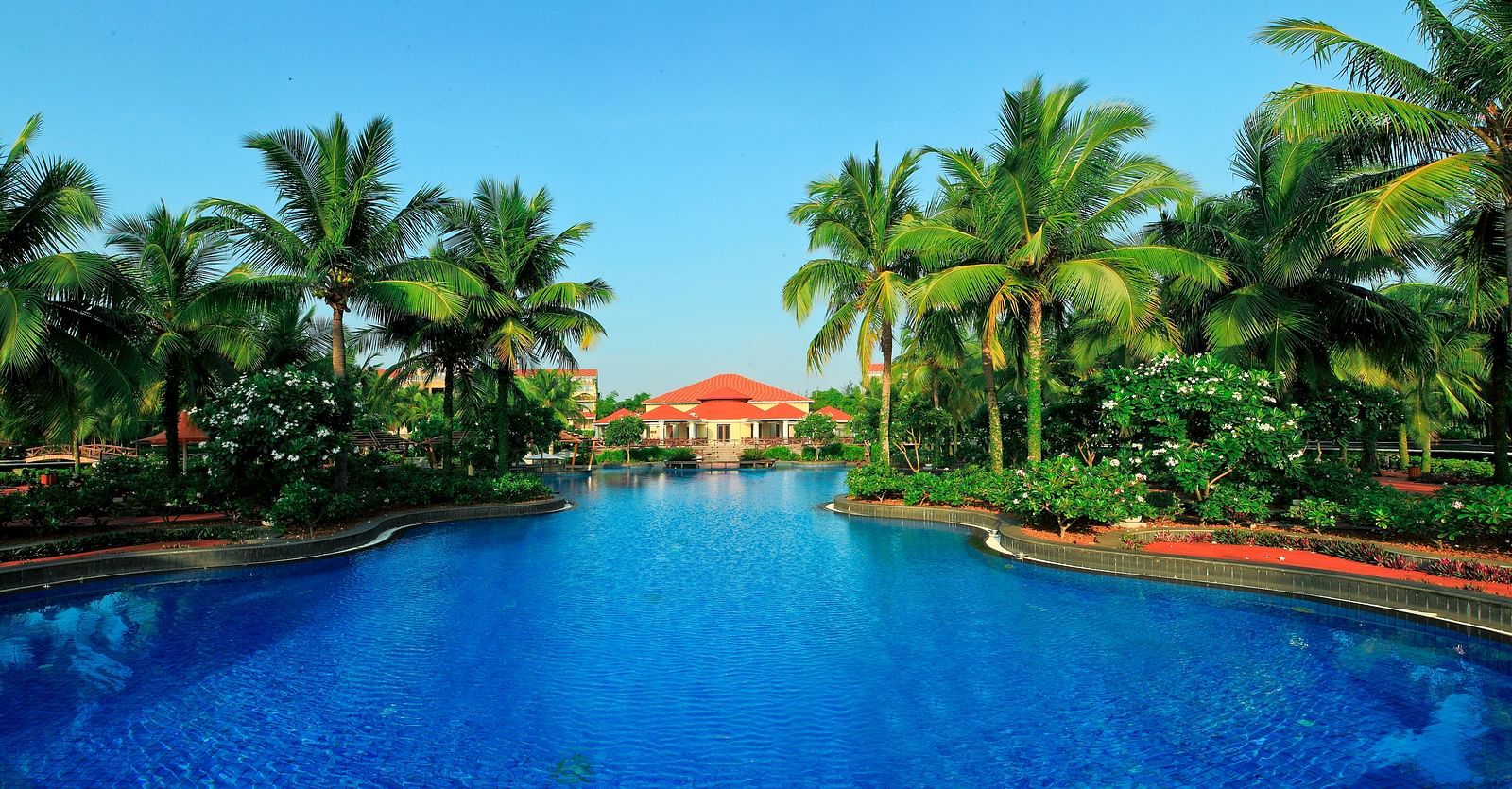 Image of swimming pool surrounded by coconut trees at Ocean Spray, Pondicherry