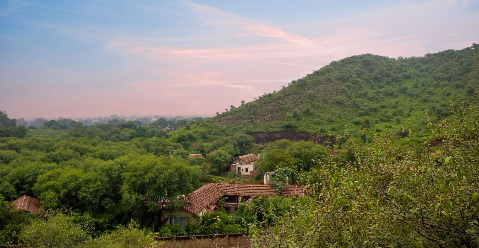 Property Landscapes 2021 74