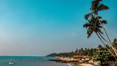 An overview of Anjuna Beach with the coconut trees and blue sky in view