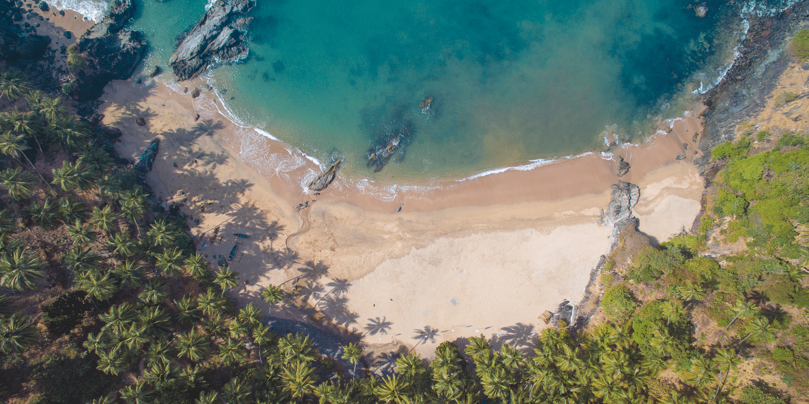 Morjim Beach surrounded by lush green plants and trees