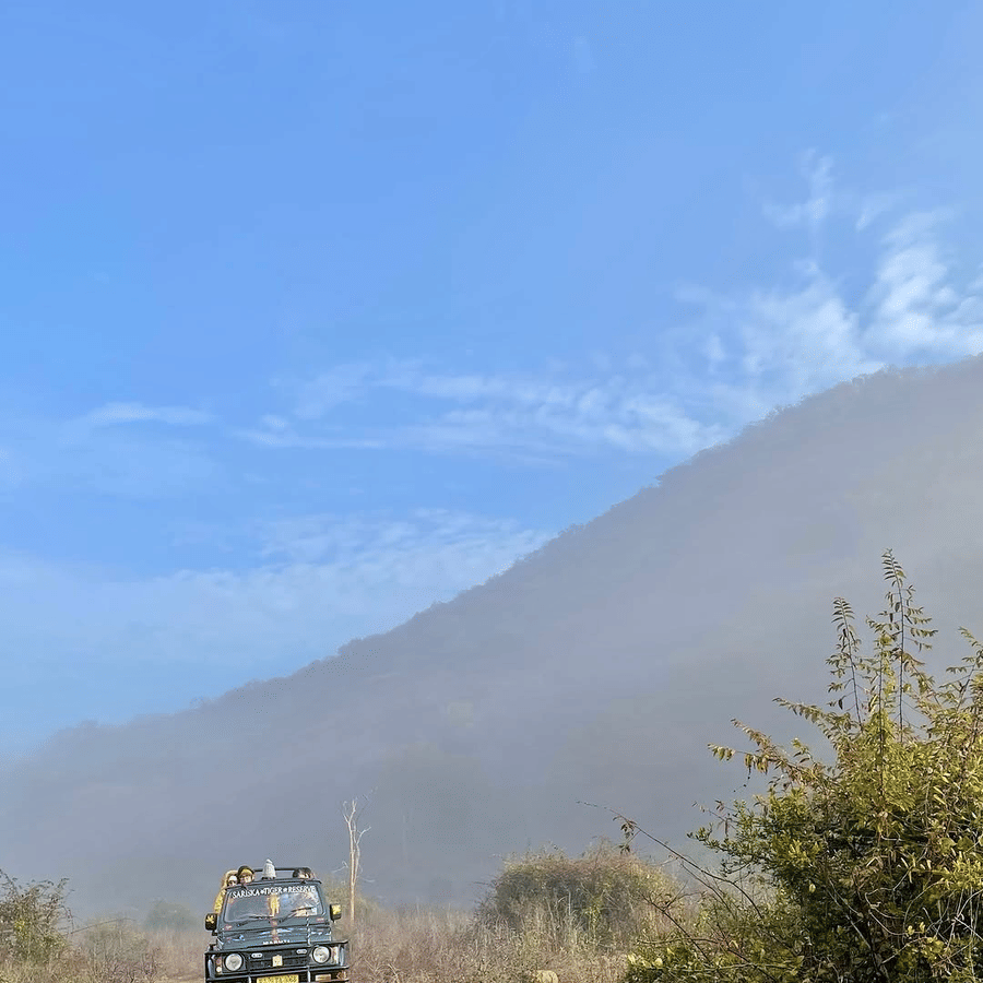 Sariska Safari - Guest Experience -2