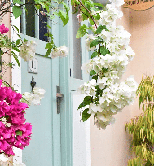 Light blue door framed by blooming white and pink flowers, giving a charming garden entrance feel at Karma Chalets.