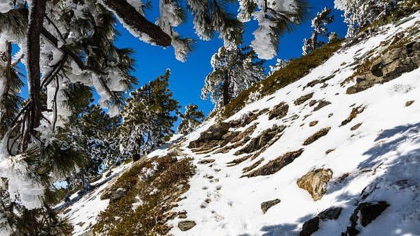 Image of nathula pass mountains with snow on it