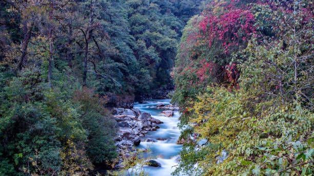 Bhususkh Khola
