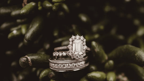 Diamond engagement and wedding rings beautifully placed on a green pine branch, highlighting love and commitment.
