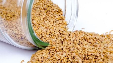 sesame-316590 640