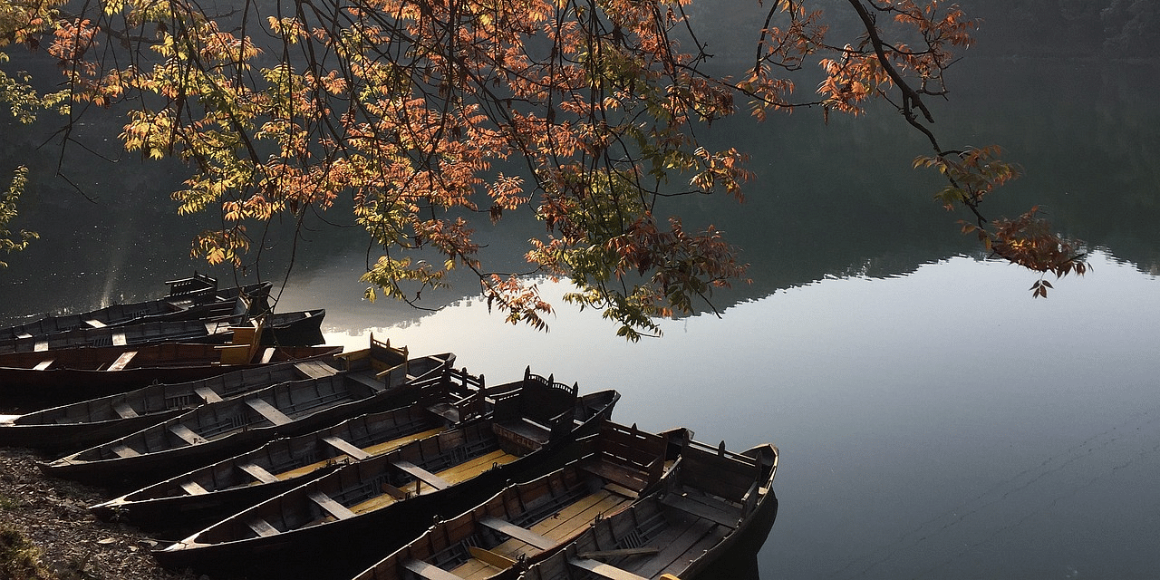 Colorful autumn leaves reflecting on a calm lake, surrounded by trees, capturing the essence of fall.