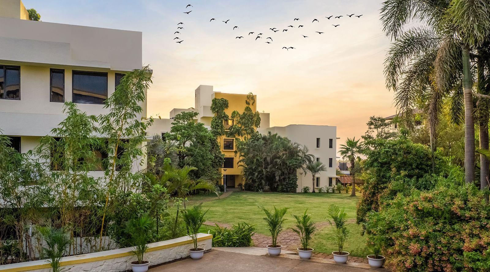33 Courtyard Lawn