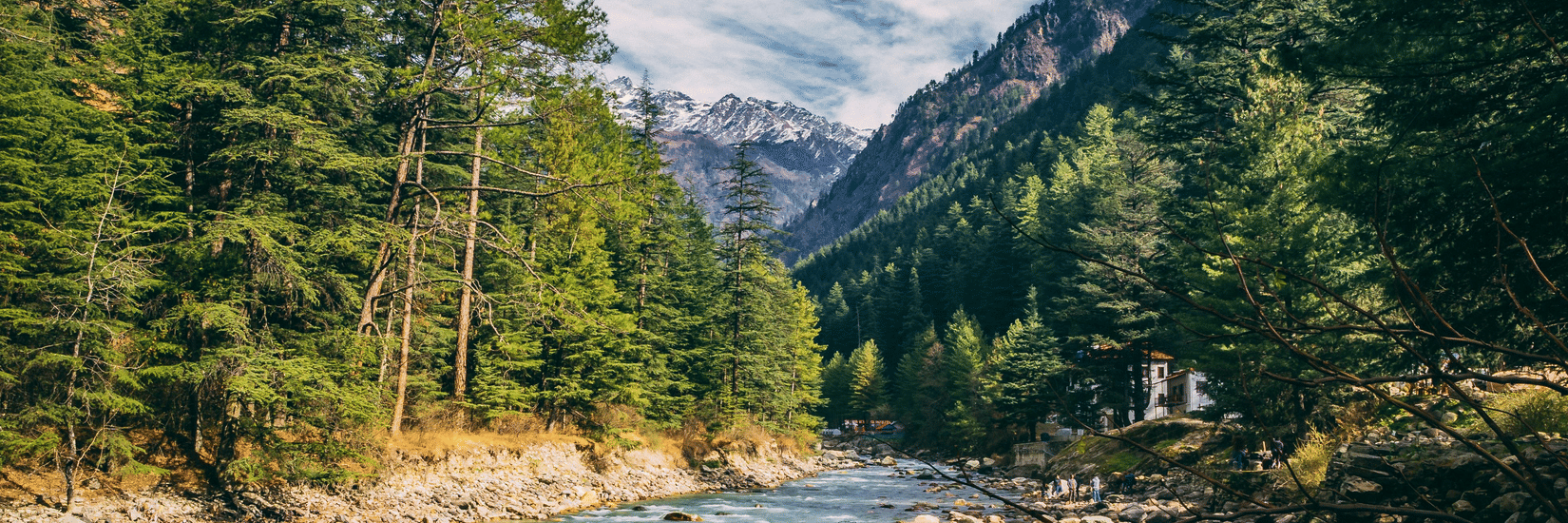 An image of a flowing stream with plants, trees, and mountains on either side