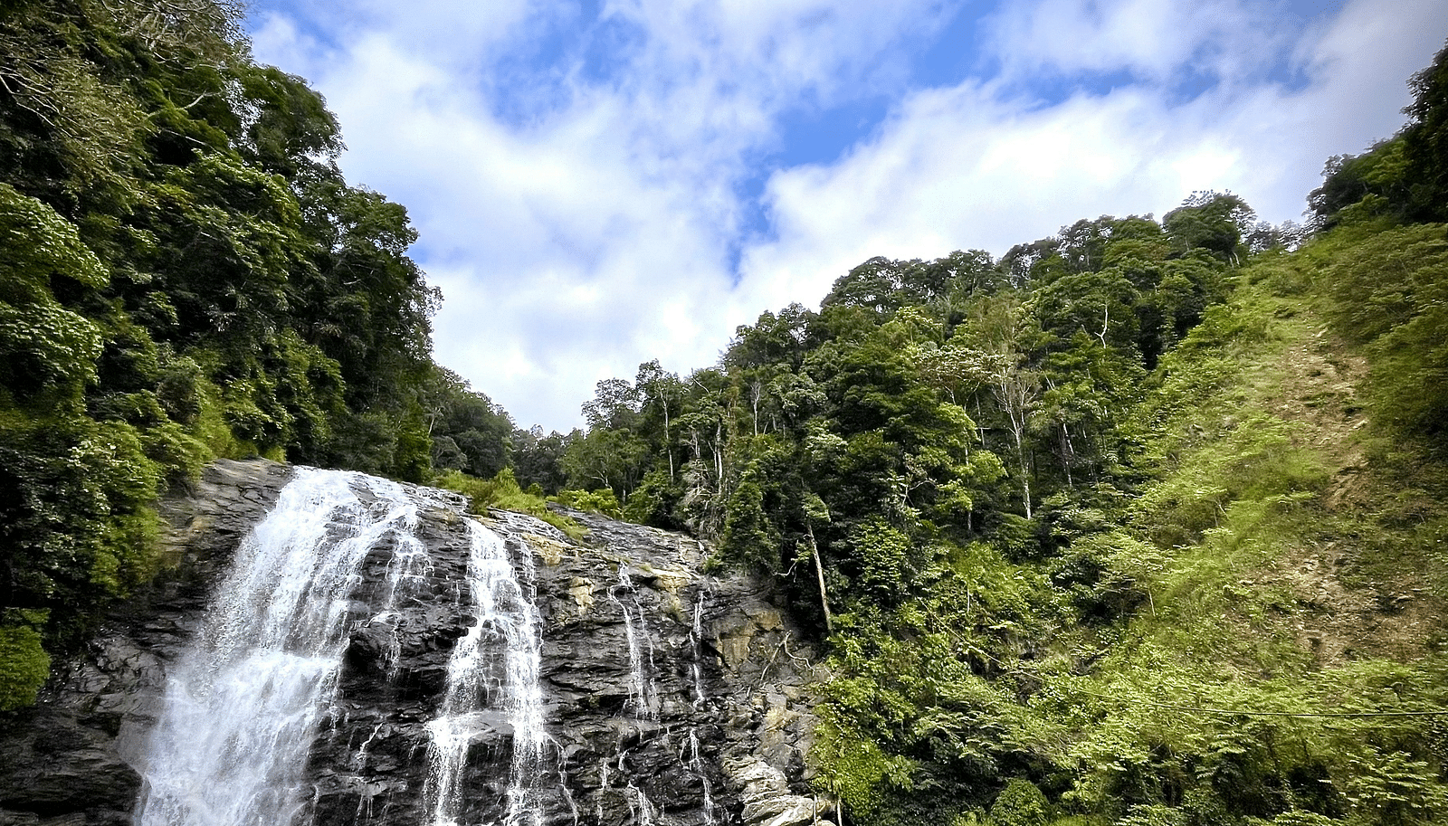 Waterfalls cascading through lush green forests, offering a serene and picturesque view