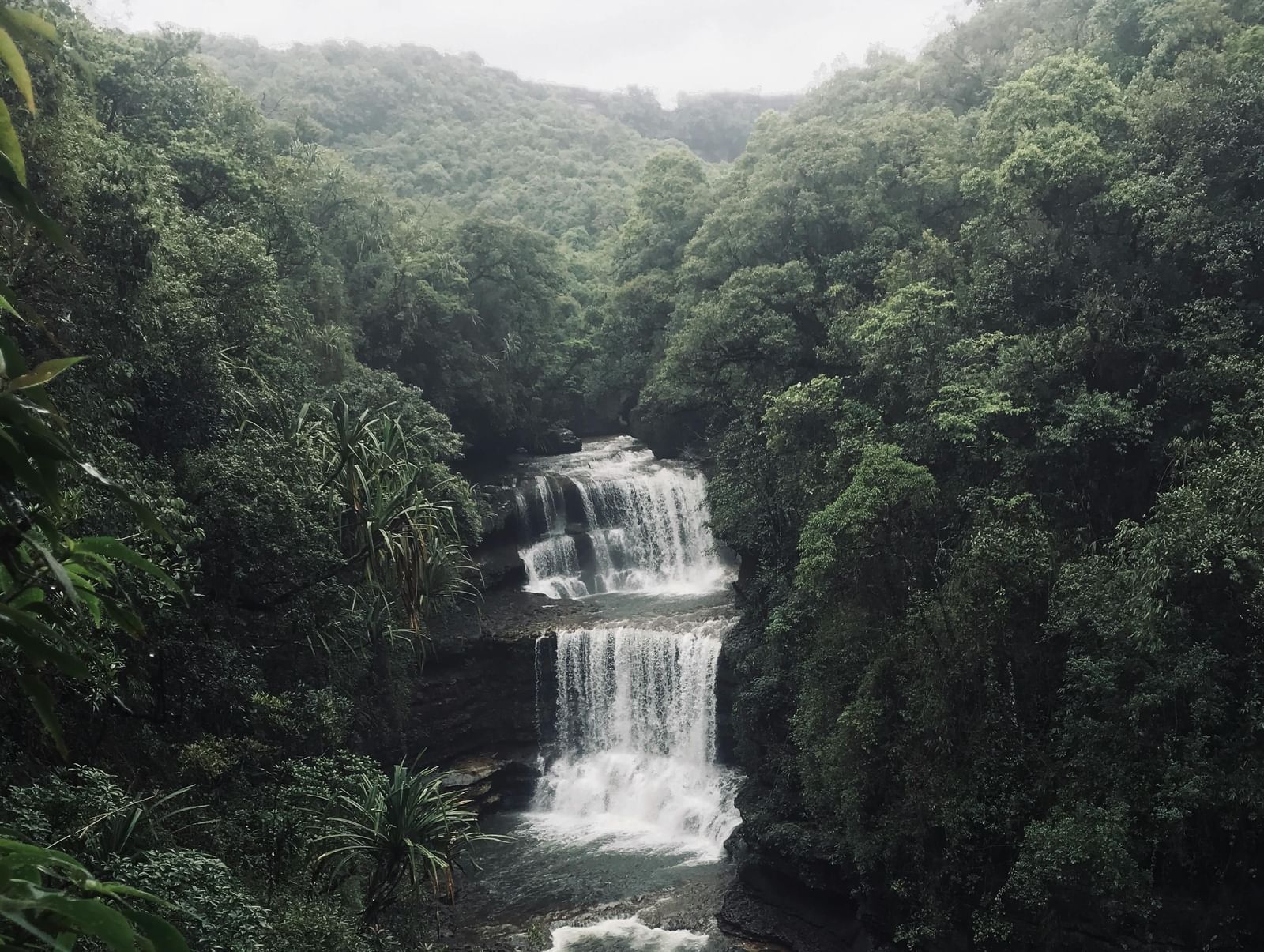 A waterfall cascading through a lush green forest along with a misty and overcast sky in the background.