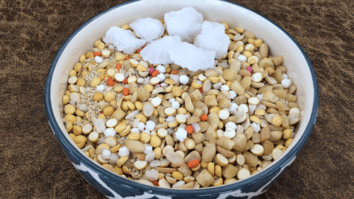 Ellu bella made with sesame seeds jaggery and ground nut served on a dish