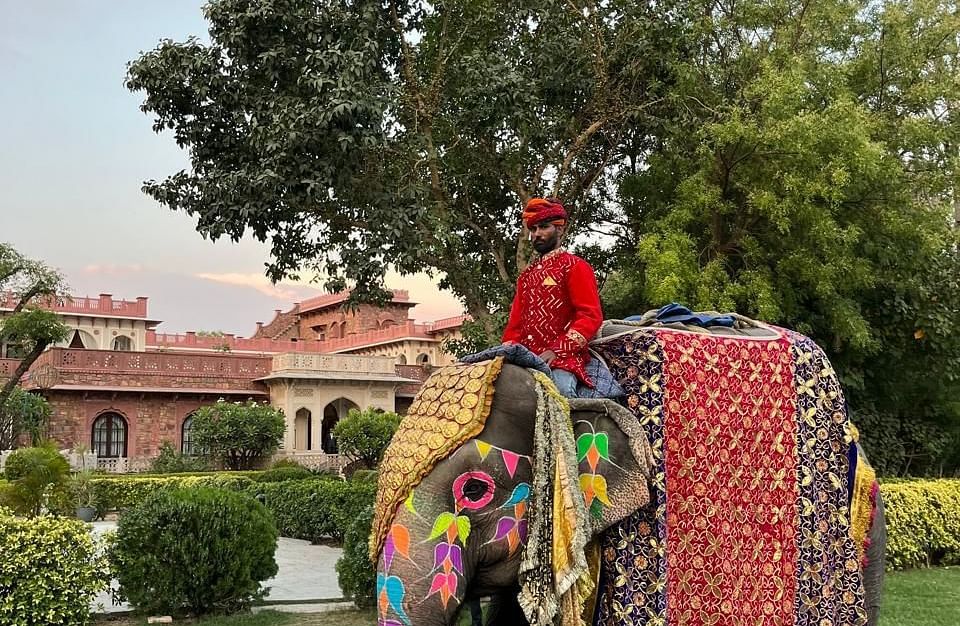 A man dressed in traditional attire pose beside a decorated elephant on a lush green lawn - Khas Bagh Jaipur.