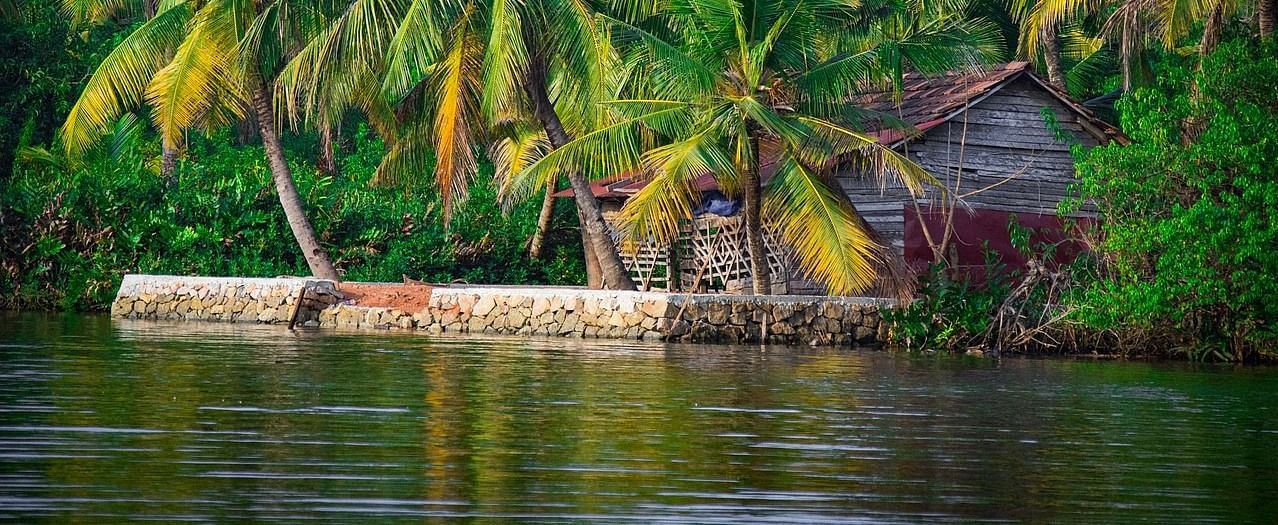 A picturesque view of a tropical island with lush palm trees and clear blue water, creating a serene paradise setting.