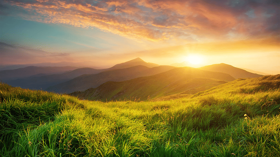 istockphoto-517188688-1024x1024