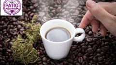 Patio Coffee Shop Rockland  Hotel Chittaranjan Park New Delhi Restaurant in CR Park 1