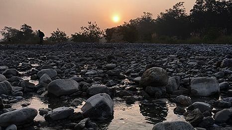 Corbett Wild Iris Resort in Ramanagar Images 1