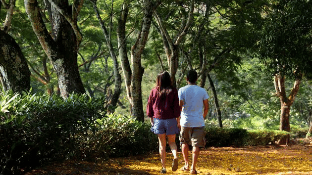 couple walking through the forest