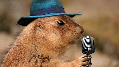 Evoma - Business Hotel, K R Puram, Bangalore Bangalore prairie-dog-1470659 640