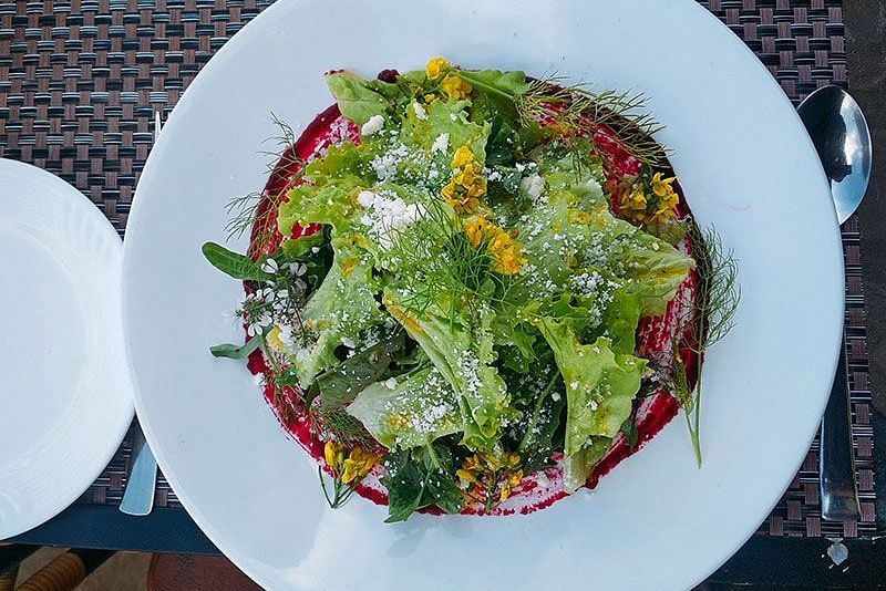 alt-text a plate of farmhouse salad
