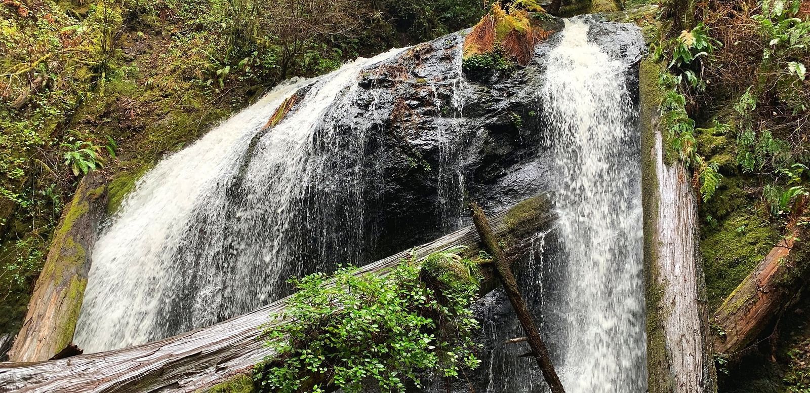 Water cascades over rocks, forming a waterfall, with fallen logs and vegetation surrounding it.