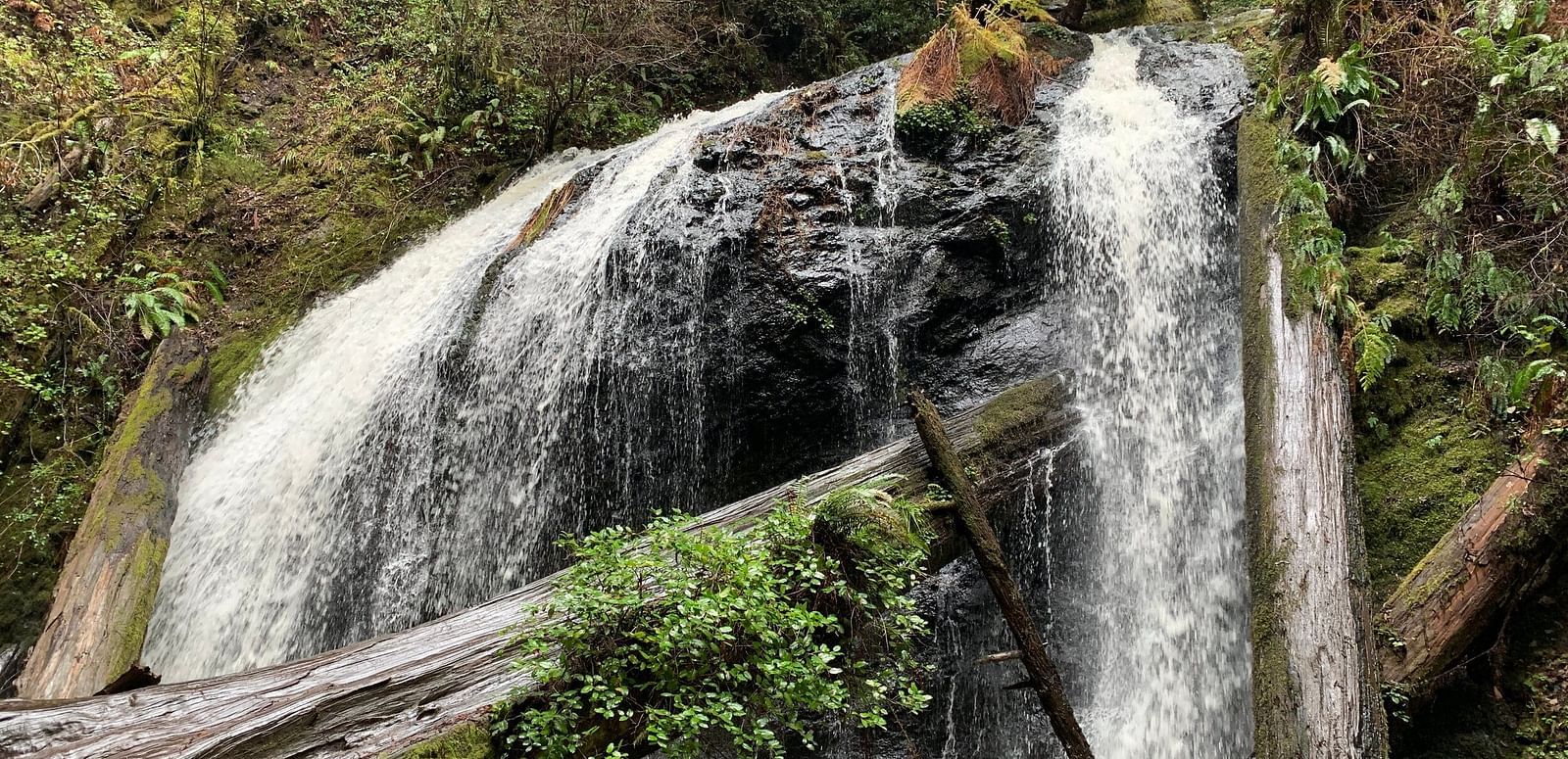  A waterfall cascades over dark rocks, with a fallen log spanning the lower section, surrounded by lush vegetation.