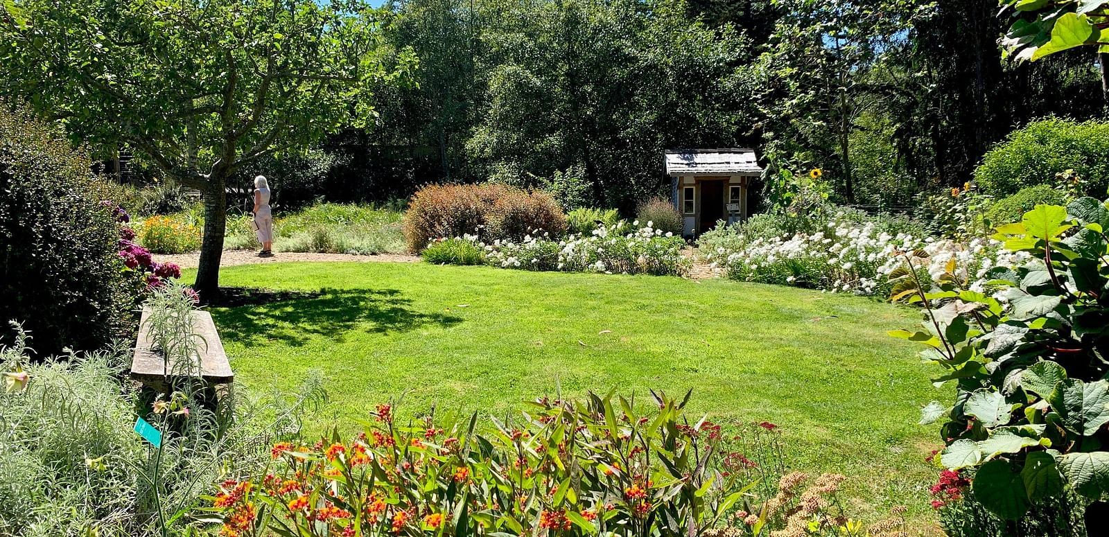 A sunny garden with a grassy lawn, trees, flowers, and a small structure in the background. A bench is visible on the left.